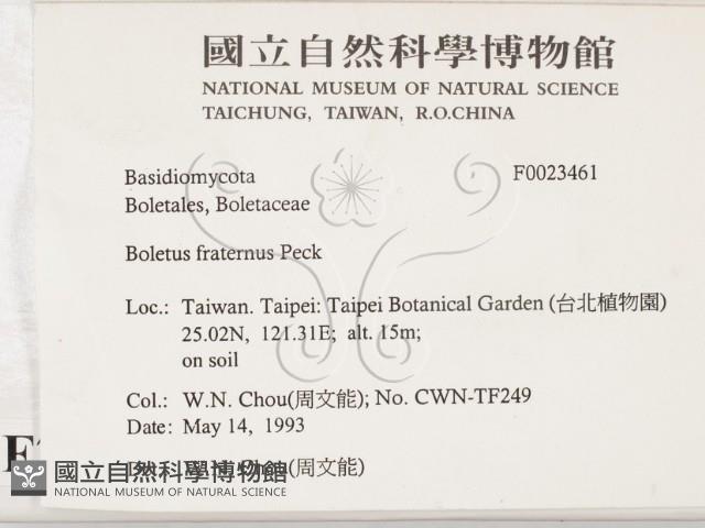 登錄號:F0023461藏品圖，第2張