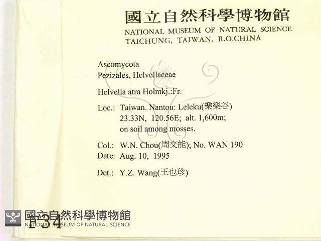 登錄號:F0003461藏品圖，第2張