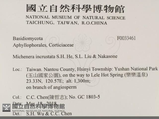 登錄號:F0033461藏品圖，第2張