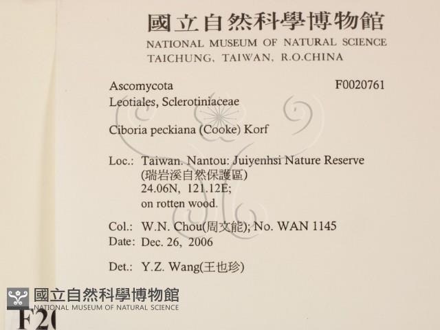 登錄號:F0020761藏品圖，第2張