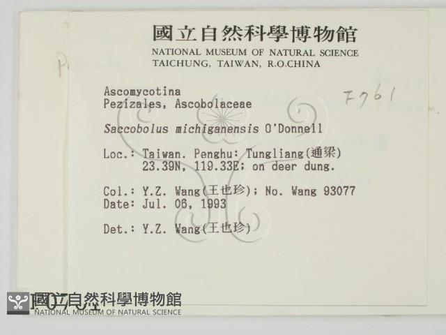 登錄號:F0000761藏品圖，第2張