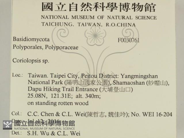 登錄號:F0030761藏品圖，第2張