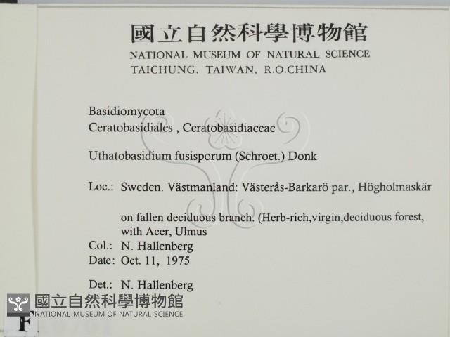 登錄號:F0016761藏品圖，第2張