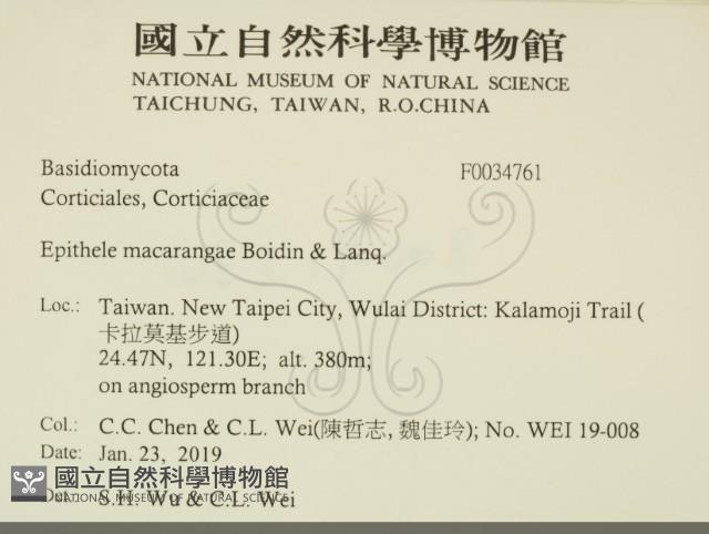 登錄號:F0034761藏品圖，第2張