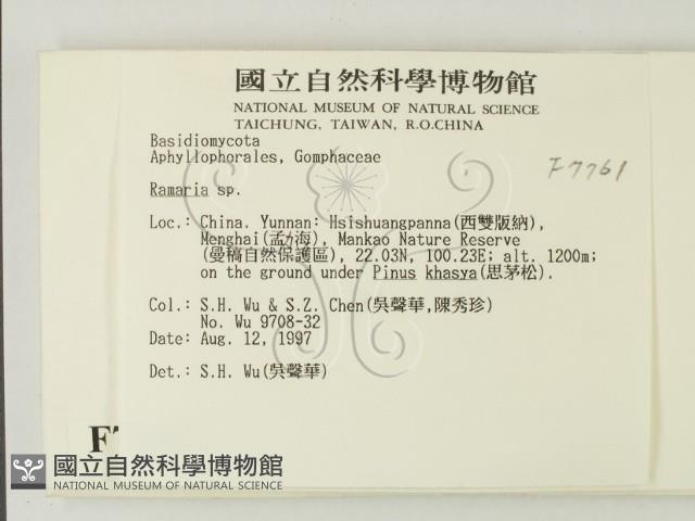 登錄號:F0007761藏品圖，第2張