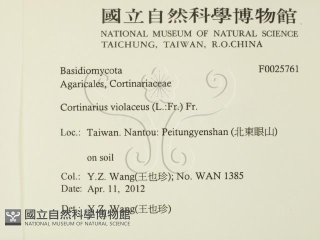 登錄號:F0025761藏品圖，第2張