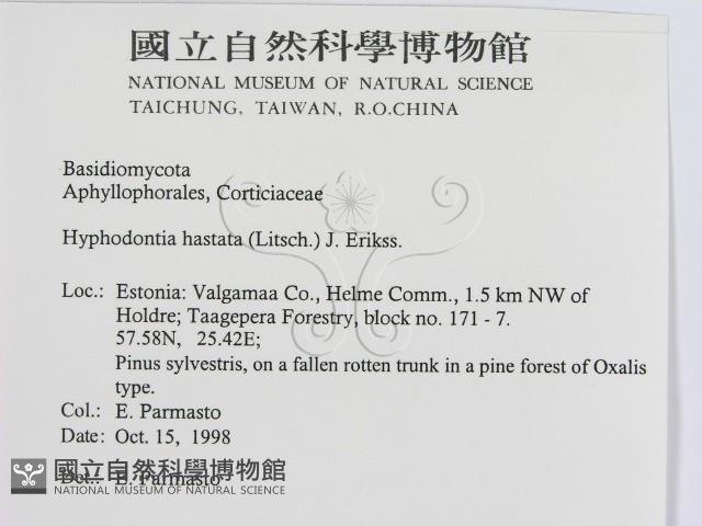 登錄號:F0015761藏品圖，第2張