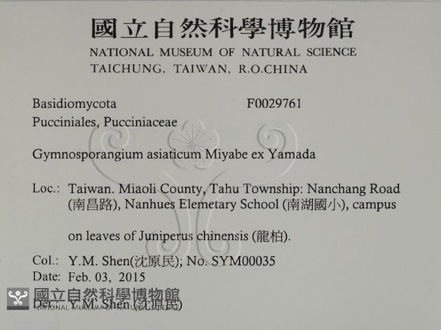 登錄號:F0029761藏品圖，第2張