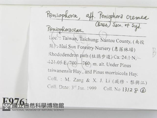 登錄號:F0009761藏品圖，第2張