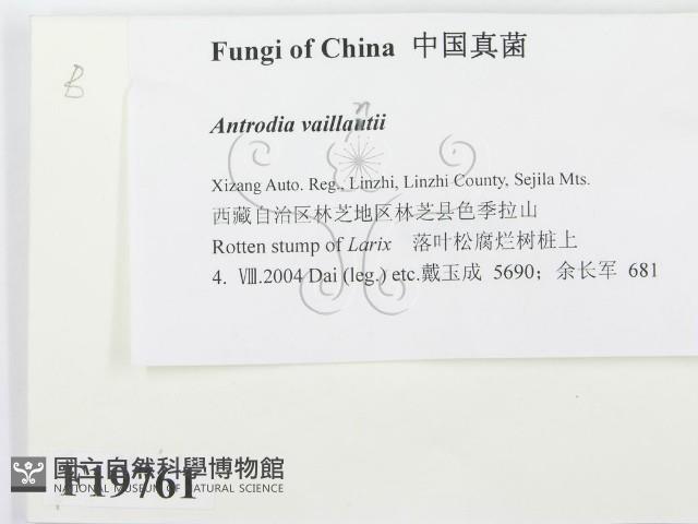 登錄號:F0019761藏品圖，第2張