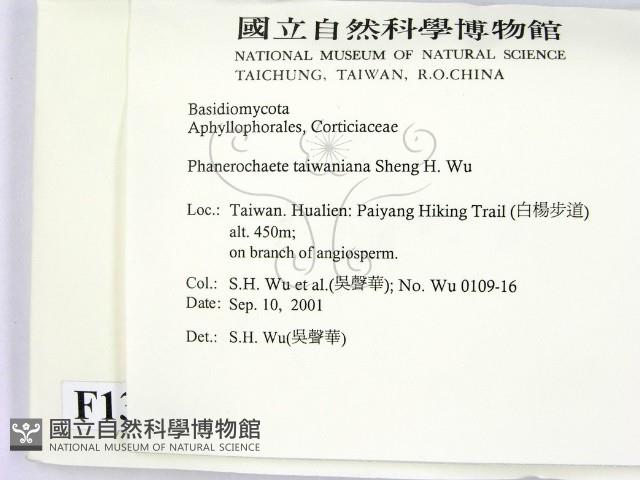 登錄號:F0013761藏品圖，第2張
