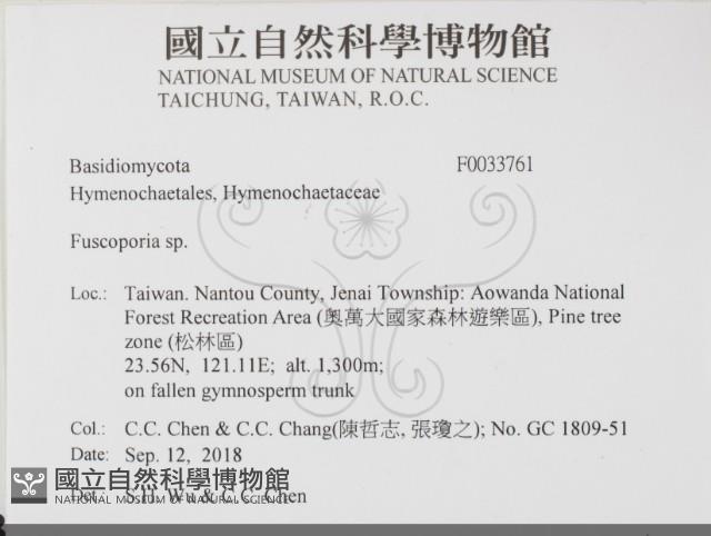 登錄號:F0033761藏品圖，第2張