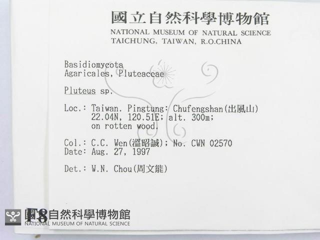 登錄號:F0008561藏品圖，第2張