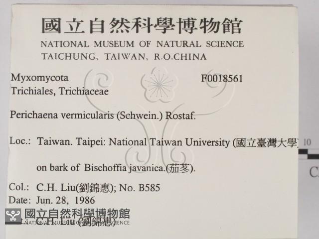 登錄號:F0018561藏品圖，第2張