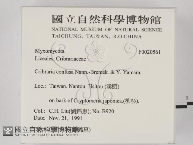 登錄號:F0020561藏品圖，第2張