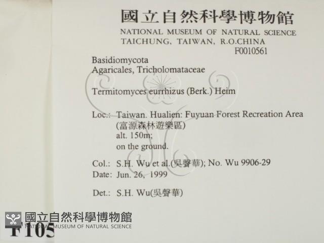 登錄號:F0010561藏品圖，第2張