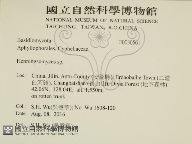 登錄號:F0030561藏品圖，第2張