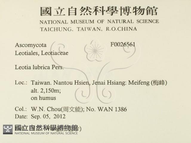 登錄號:F0026561藏品圖，第2張