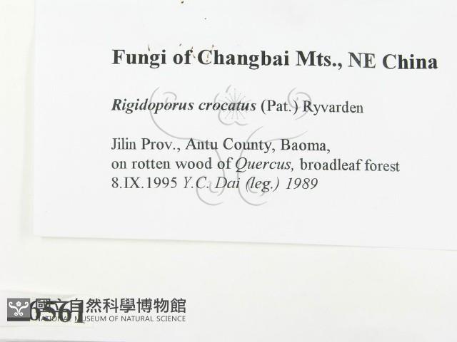 登錄號:F0006561藏品圖，第2張