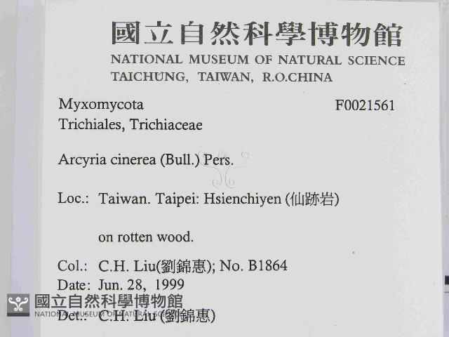登錄號:F0021561藏品圖，第2張
