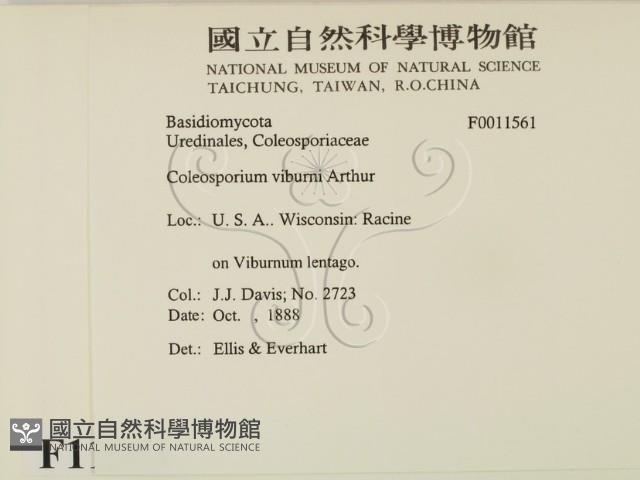 登錄號:F0011561藏品圖，第2張
