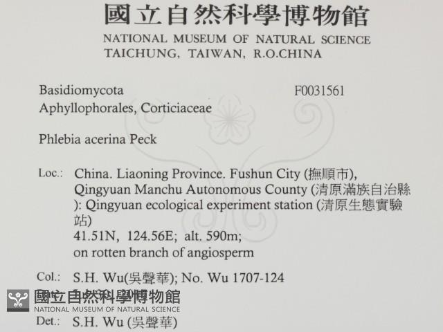 登錄號:F0031561藏品圖，第2張