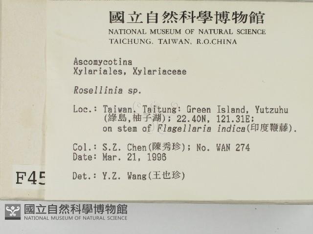 登錄號:F0004561藏品圖，第2張