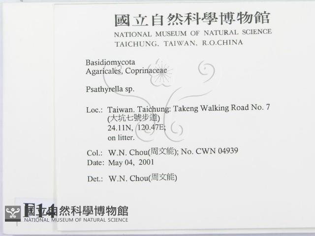 登錄號:F0014561藏品圖，第2張