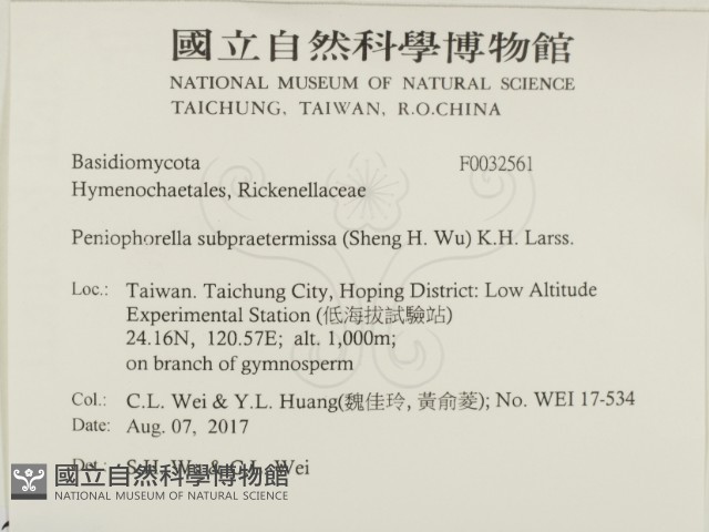 登錄號:F0032561藏品圖，第2張