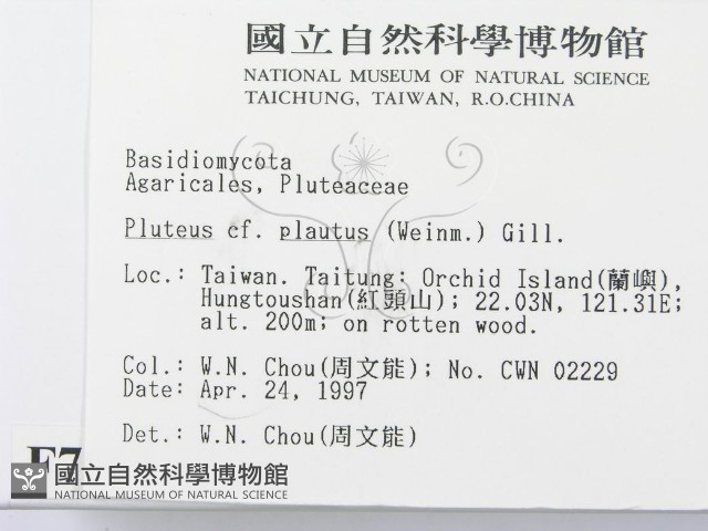 登錄號:F0007561藏品圖，第2張