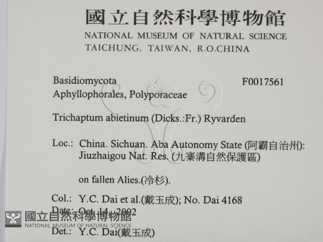 登錄號:F0017561藏品圖，第2張