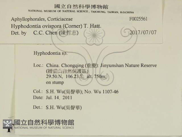 登錄號:F0025561藏品圖，第2張