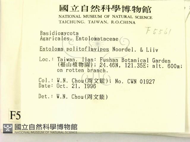 登錄號:F0005561藏品圖，第2張