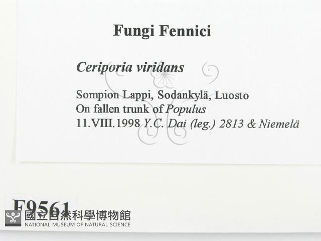 登錄號:F0009561藏品圖，第2張