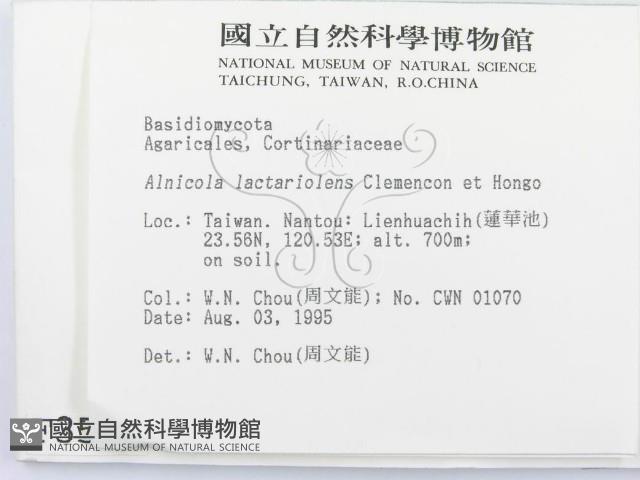 登錄號:F0003561藏品圖，第2張