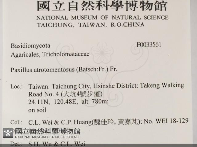 登錄號:F0033561藏品圖，第2張