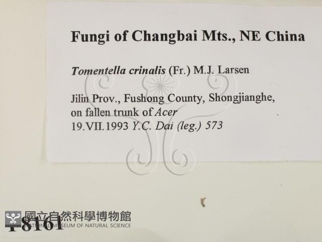 登錄號:F0008161藏品圖，第2張