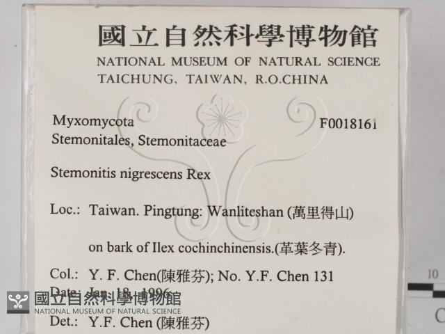 登錄號:F0018161藏品圖，第2張