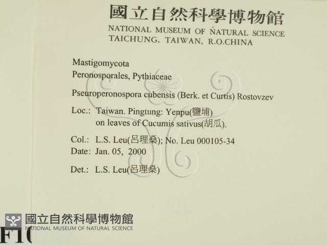 登錄號:F0010161藏品圖，第2張