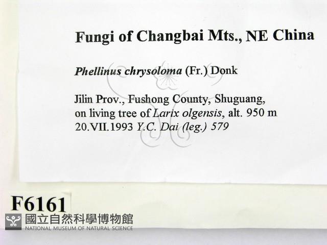 登錄號:F0006161藏品圖，第2張