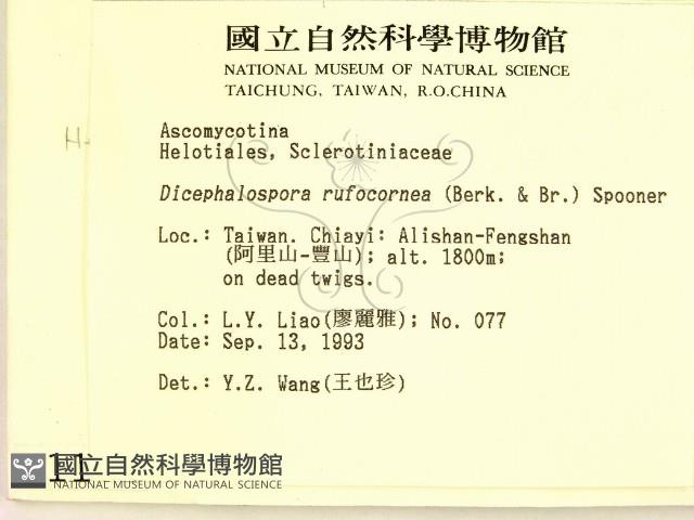 登錄號:F0001161藏品圖，第2張