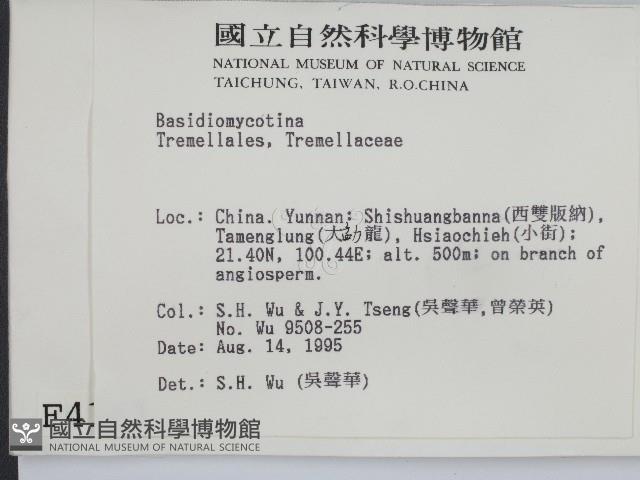 登錄號:F0004161藏品圖，第2張