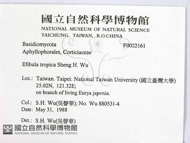登錄號:F0022161藏品圖，第2張