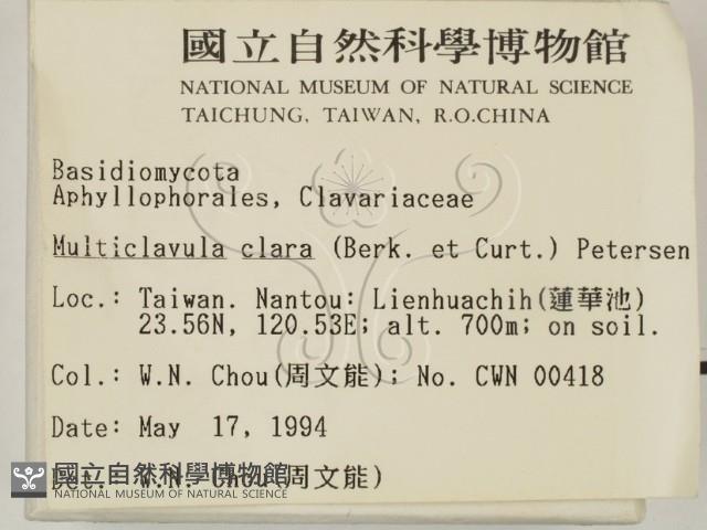 登錄號:F0002161藏品圖，第2張