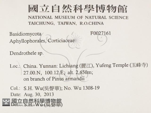 登錄號:F0027161藏品圖，第2張