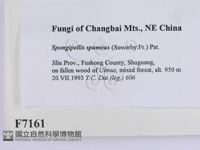 登錄號:F0007161藏品圖，第2張