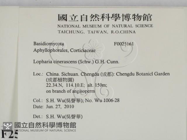 登錄號:F0025161藏品圖，第2張