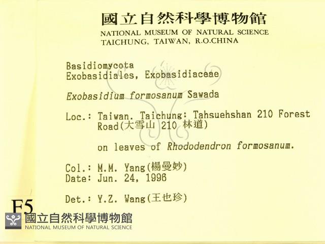 登錄號:F0005161藏品圖，第2張