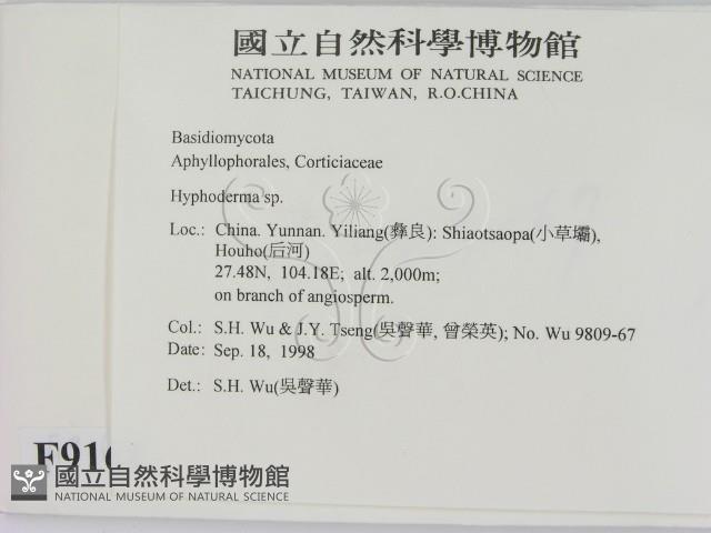 絲皮菌屬藏品圖，第2張