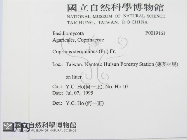 登錄號:F0019161藏品圖，第2張
